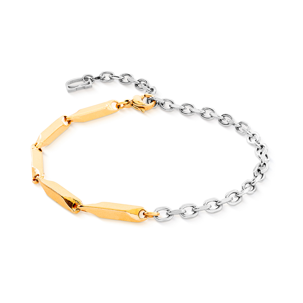 Coeur de Lion, ��������:������� Coeur de Lion, ��������()